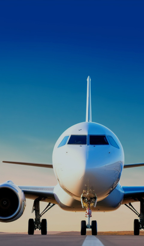 �����㲿��